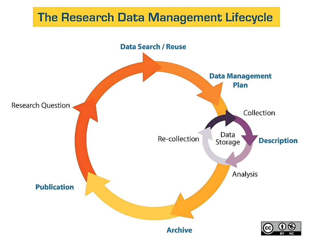 research data management lifecycle
